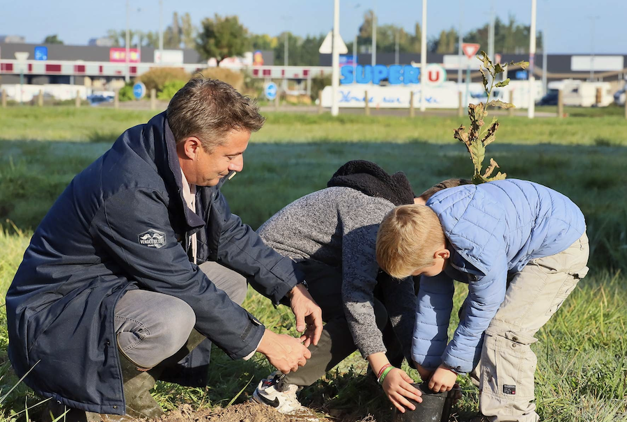 Les Sables Dolonne Vend E La Ville Indign E Les Arbres Plant S Par